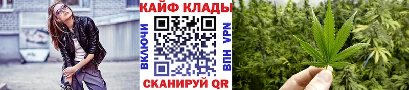 Бошки Шишки Болотное
