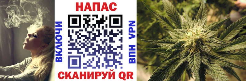 Купить наркотики Болотное COCAIN  Alpha-PVP  ГАШ 