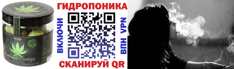Печенье с ТГК марихуана  OMG ссылки  Болотное  где продают  