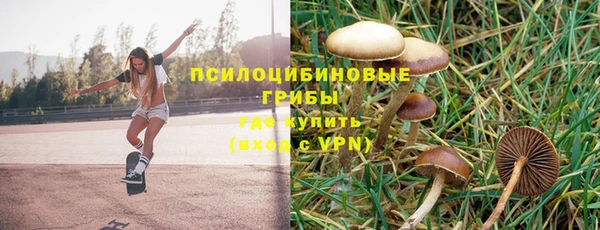 прущий лед Алексин