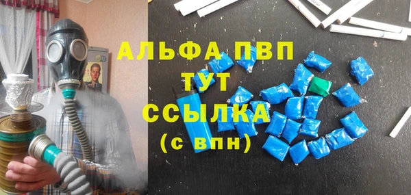 гашик Алексеевка