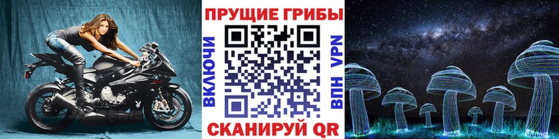 Галлюциногенные грибы прущие грибы  Болотное 